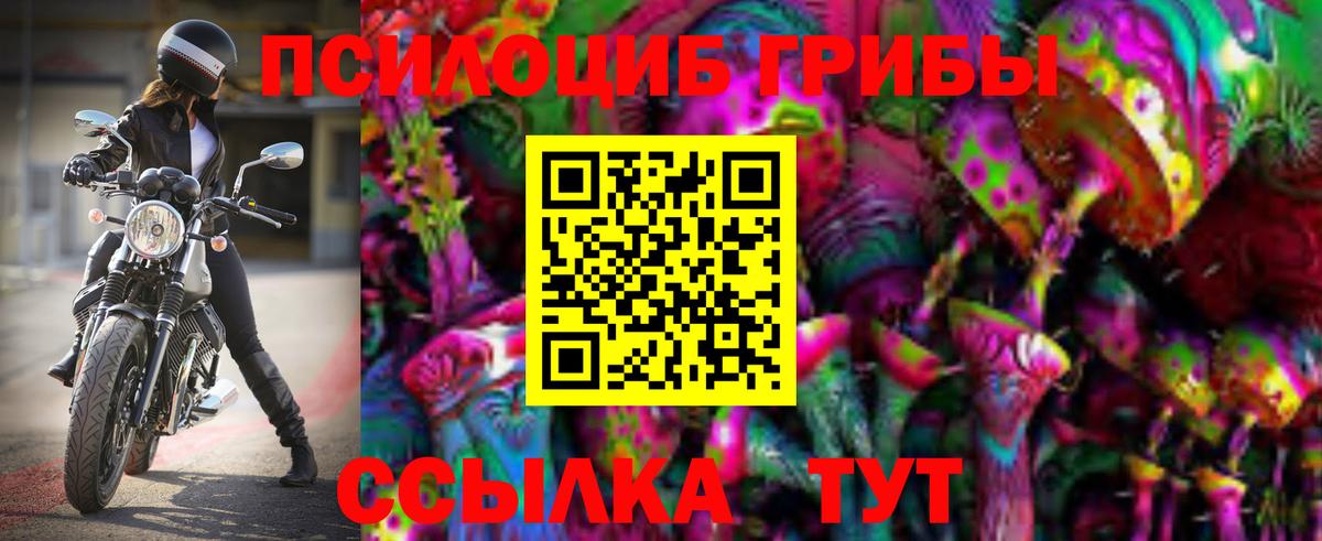 Псилоцибиновые грибы прущие грибы  что такое   Воскресенск  Псилоцибиновые грибы GOLDEN TEACHER  Вход с VPN 