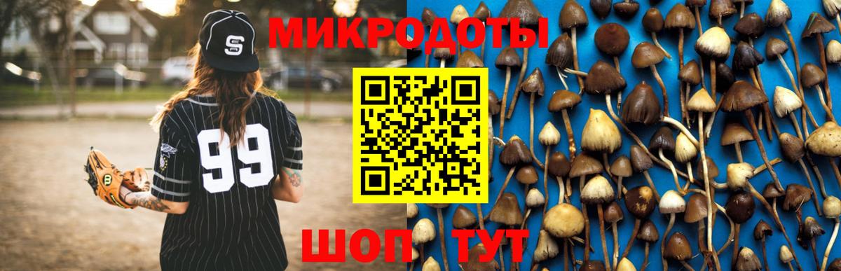 Псилоцибиновые грибы Psilocybe Воскресенск